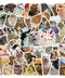 200PCS Cat Stickers Cute Animal Stickers Funny Cat Stickers Waterproof Stickers for Adult Vinyl Stickers for Water Bottles Luggage Scrapbook Guitar Snowboard Laptop Phone Bike