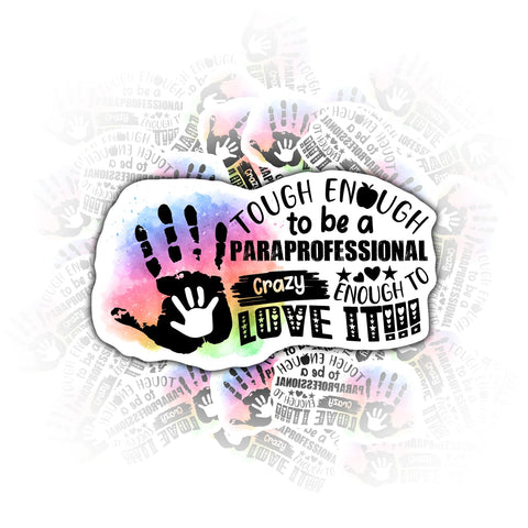 3PCS Paraprofessional Stickers for Kids Teens Waterproof Vinyl Stickers Aesthetic Laptop Stickers Stickers for Water Bottles 2in